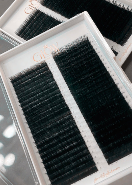 Volume Lashes .05 (Large Tray)